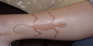 Hennaechse